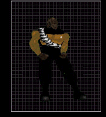 worfskin1viewer.GIF (19644 bytes)